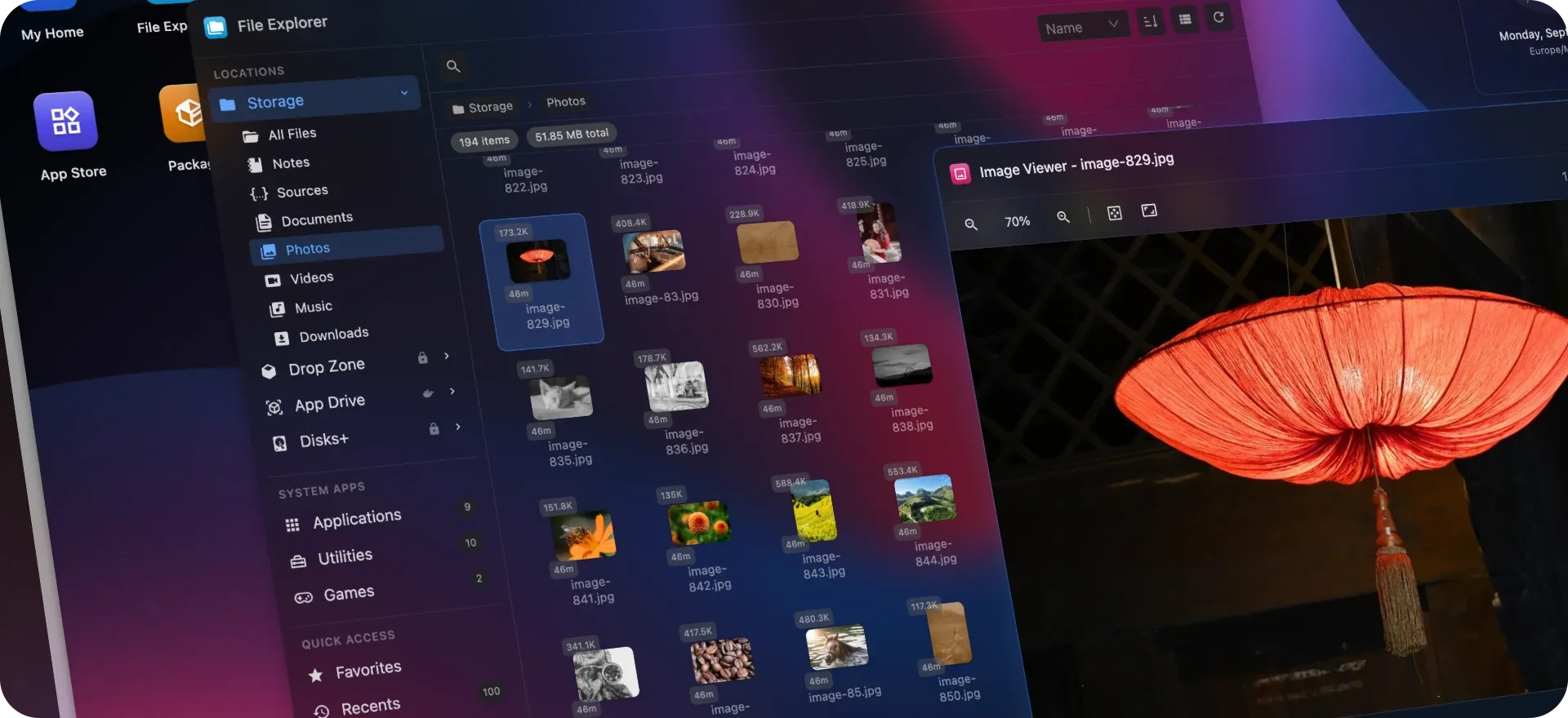 HomeDock OS 2.6 File Explorer showing photo thumbnails, with a picture open in the Image Viewer