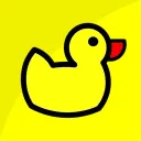Duck DNS icon