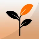 GitQlient icon