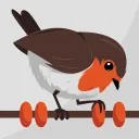 Rotki icon