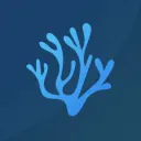 VSCodium icon