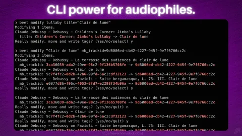 Beets Screenshot - CLI power for audiophiles.