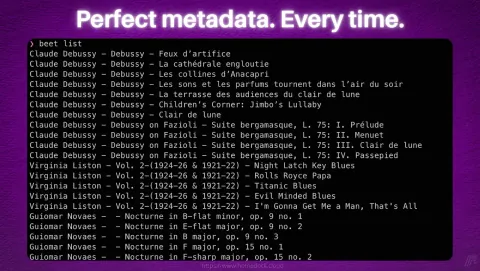 Beets Screenshot - Perfect metadata. Every time.