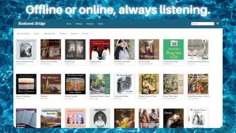 Booksonic Air Screenshot - Offline or online, always listening.