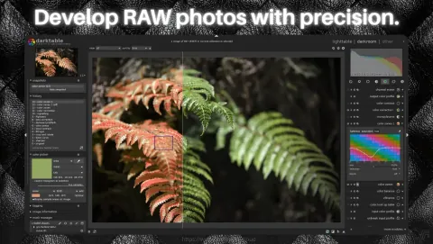 darktable Screenshot - Develop RAW photos with precision.