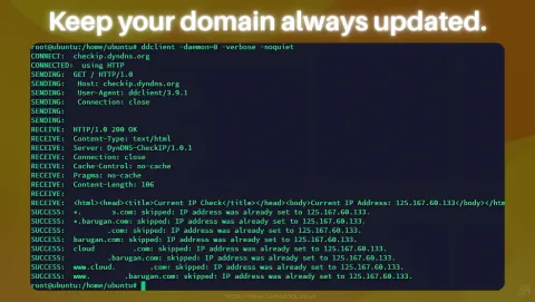 ddclient Screenshot - Keep your domain always updated.