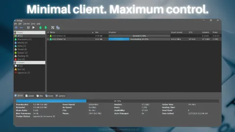 Deluge Screenshot - Minimal client. Maximum control.