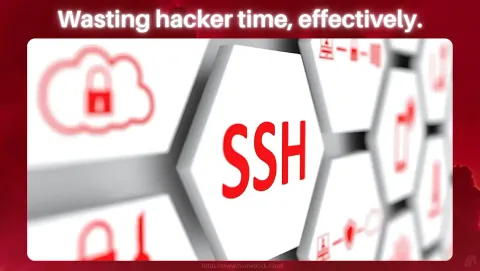 Endlessh Screenshot - Wasting hacker time, effectively.
