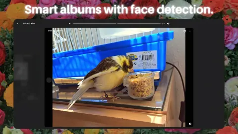 Immich Screenshot - Smart albums with face detection.