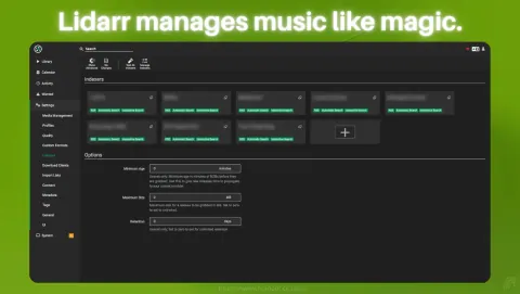 Lidarr Screenshot - Lidarr manages music like magic.