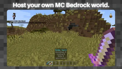 Minecraft Bedrock Server Screenshot - Host your own MC Bedrock world.