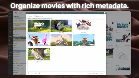 MediaElch Screenshot - Organize movies with rich metadata.