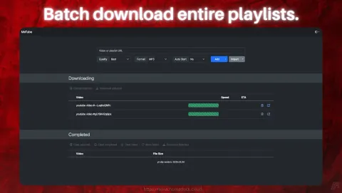 MeTube Screenshot - Batch download entire playlists.