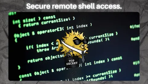 OpenSSH Server Screenshot - Secure remote shell access.