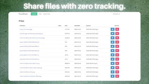 PicoShare Screenshot - Share files with zero tracking.