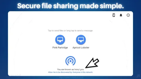 Snapdrop Screenshot - Secure file sharing made simple.