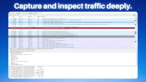 Wireshark Screenshot - Capture and inspect traffic deeply.