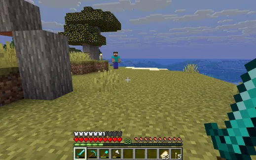 Some people have spotted Herobrine in the HomeDock OS Minecraft server, but we don't believe them yet
